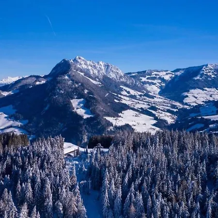 Steindl Haeusl בית נופש